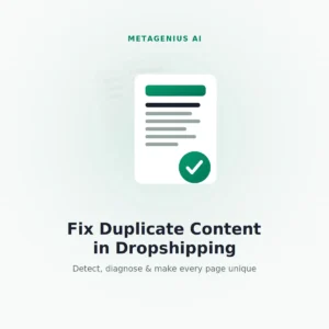 dropshipping duplicate content — illustration